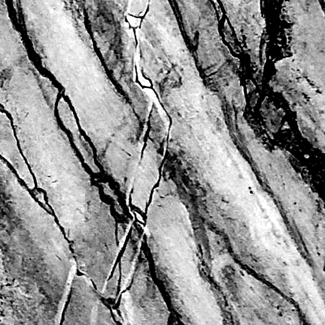 Kreative Wandgestaltung